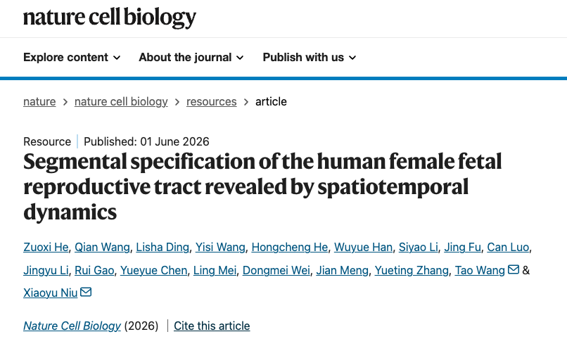 Prof. Niu Xiaoyu’s Team Has Drawn the First Spatiotemporal Development ...