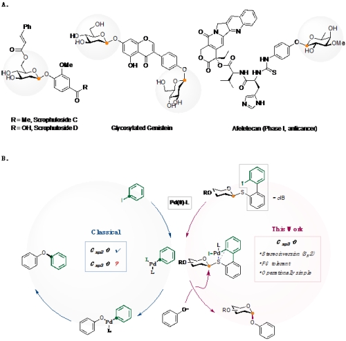 Dawen Niu’s Team Published in Science a Paper Regarding Palladium ...