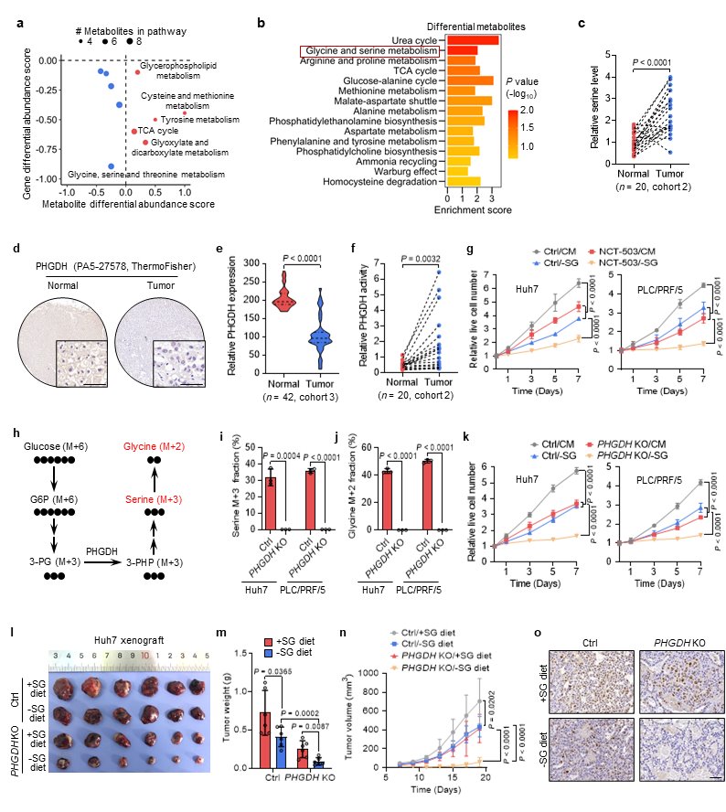 Canhua Huang and Partners Revealed the New Mechanism of Tumor Serine ...
